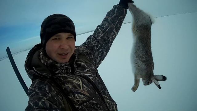 СКАЗОЧНАЯ ОХОТА !!! На зайца с Русской Пегой Гончей.