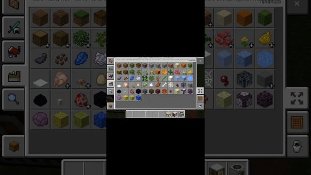 Я играю в Майнкрафт версия 1.10.0.4