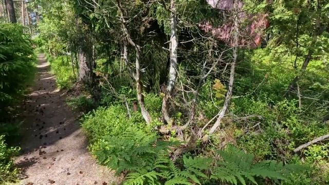 Отдых в Эстонии.Чудское озеро 2022.Такое разное Чудское озеро.Открыли купальный сезон.Дачный блог