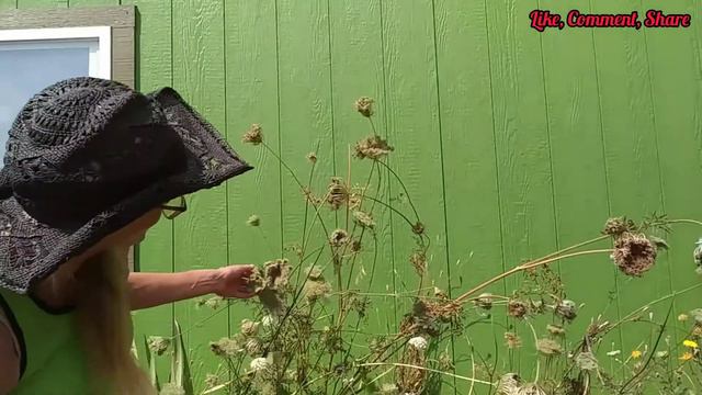 B5cb451ae723daf21fa89e54e42801cb