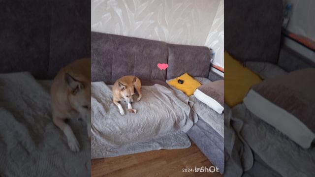 погода до 16 мая