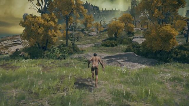 Elden Bot: Setting Up The Character (level 1 Wretch With Shield To Margit Grace) (Part 2)