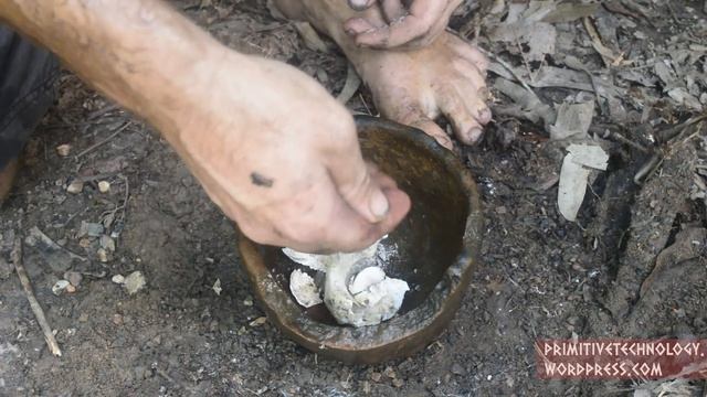 Primitive Technology Lime