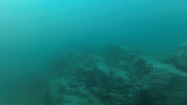 Виталий рыбалка находка
