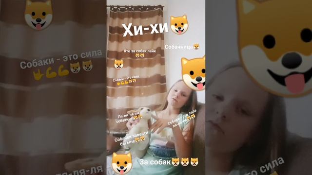 пролистайте все показывайте собакам все У кого есть собаки приближайте их к экрану Пусть посмотрят?