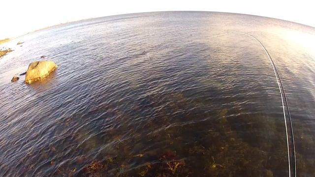 Barsmark Og Tobisfluen Del3