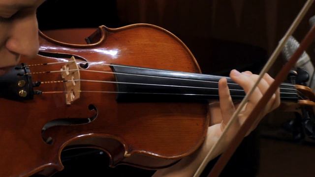 Sibelius – Violin Concerto Op.  47, Allegro Moderato, Gabriela Pill – Violin