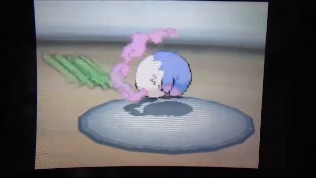 Pokemon Black English Walkthrough-54 The Hunt For The Seven Sages Part 1: Giallo And Gorm