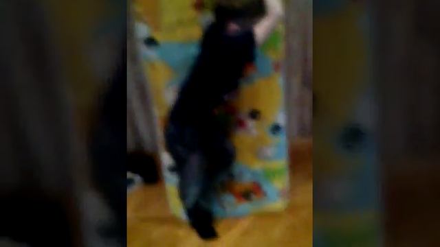 Bb00d75f13db0aaa888a66a343a92e32