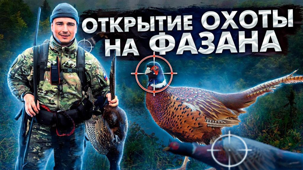 8cd70ffd36a0abbb74468c1124dee16e