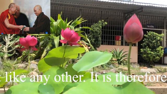 432 Hz   Deep Healing Music For The Body & Soul   DNA Repair, Relaxation Music, Meditation Music 32