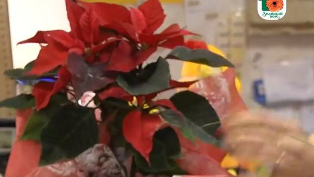 C4f733f09819d7b8ff5e5d67b396fe50