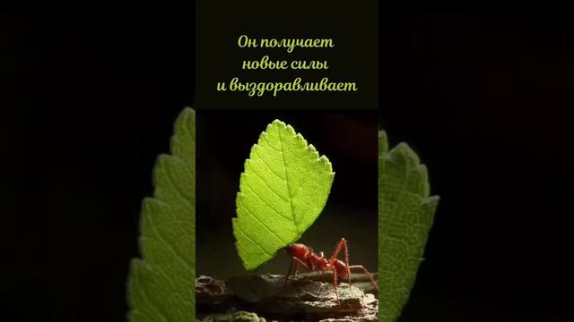 Надо друг друга любить и уважать