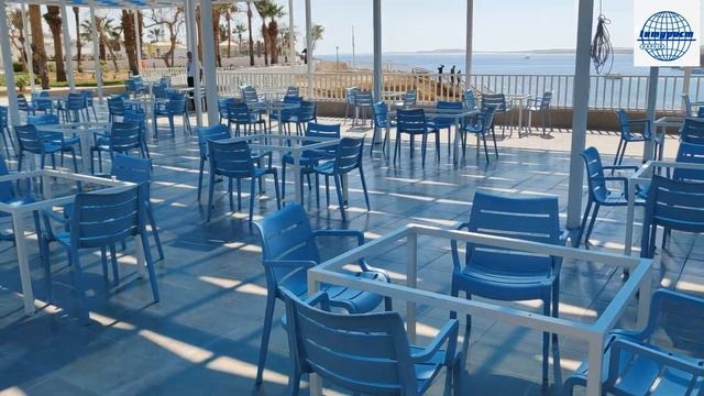 Обзор отеля BEACH ALBATROS RESORT 4* (Египет, Шарм-эль-Шейх)