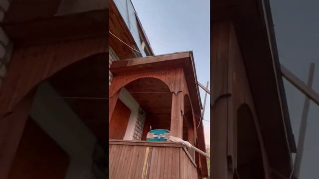 Чернуха и Рыжик вернулись из самоволки и сразу приступили к работе 🐈⬛🐈 #умныекоты