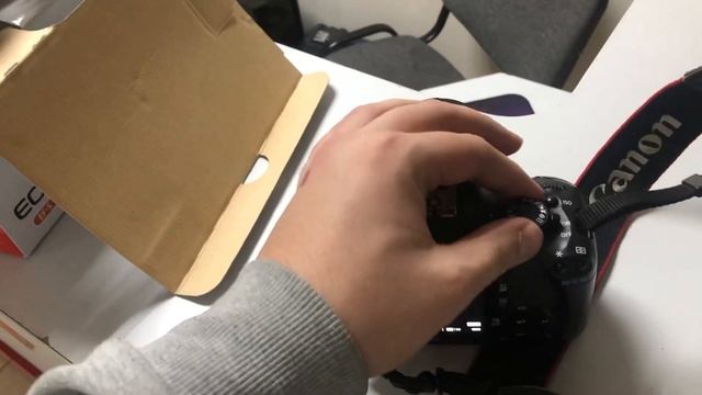 24 декабря 2023 г.