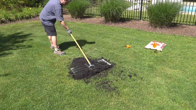 3 Steps To LEVEL A Bumpy LAWN - EASY