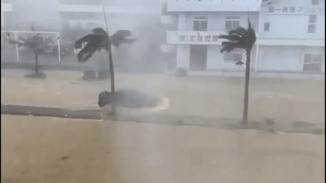 D5372949c4c569893e562019288d117a