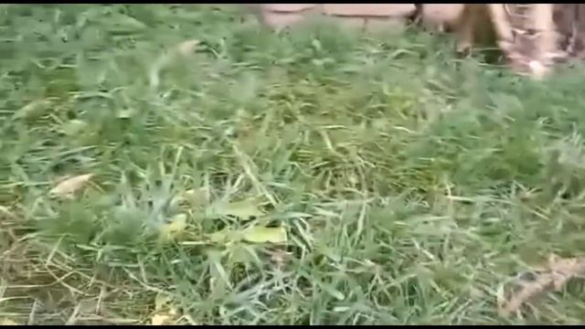 Декабрьская погода на Ставрополье. Часть 1. 14 декабря 2021