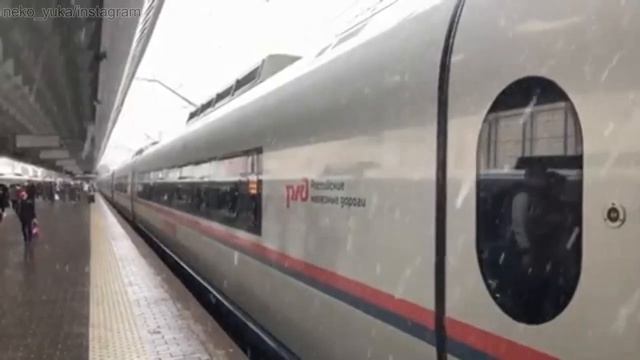 Майский снег в Санкт-Петербурге. 3 мая 2019 года