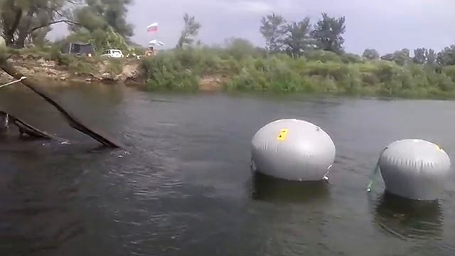 Bog oak   阴沉木   Дуб мореный