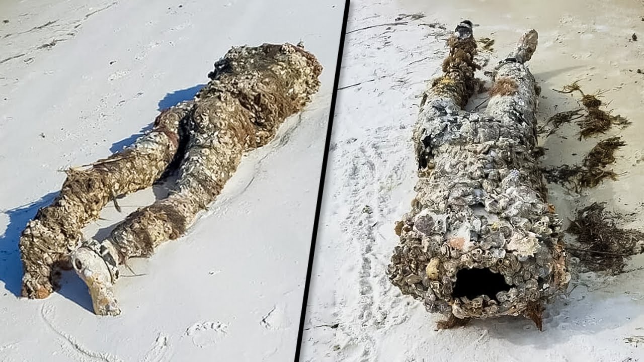 56af6d116add9ee6fee41240be4a3b76