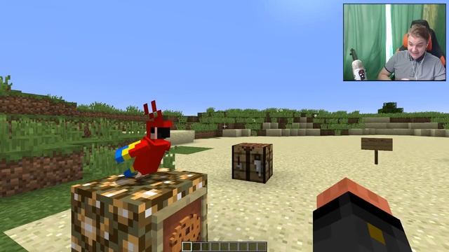 10 СЕКРЕТНЫХ ИЗМЕНЕНИЙ Minecraft 1.12