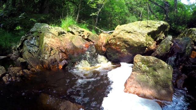 666d0bdced00e1125b59cfcd8d68ff0c