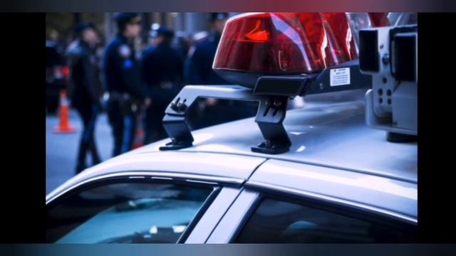 Исчезновение Скай Металвала