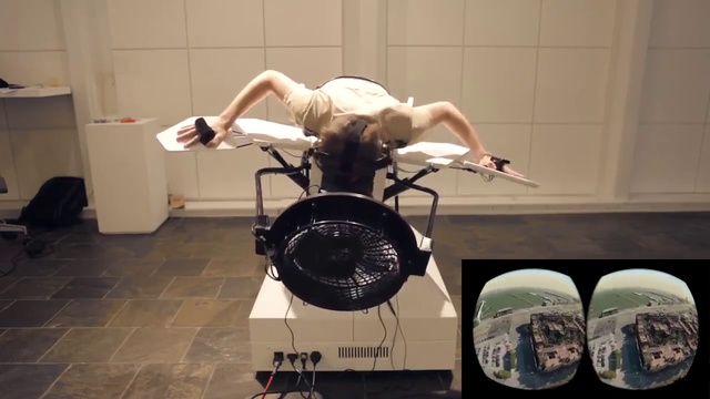 Симулятор птичьего полета