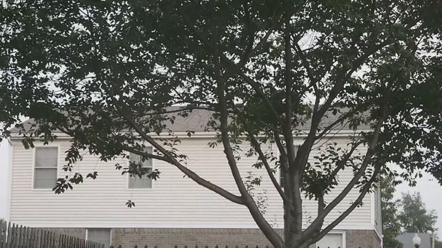 Panasonic Lumix GF3 Test Video (Manual Focus)