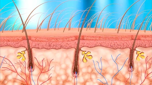 Секреты Умелых Рук