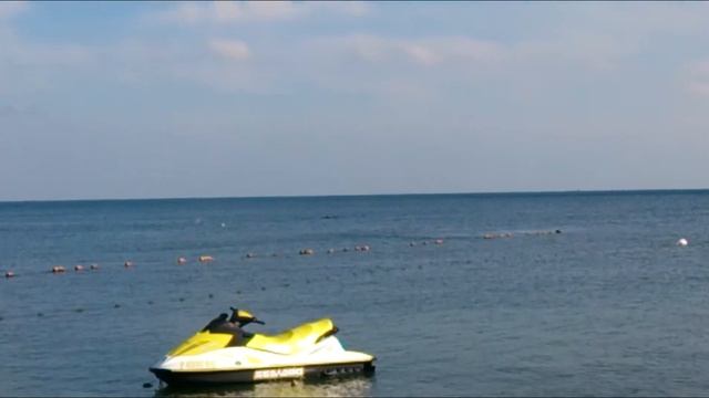Дельфины резвятся. Чёрное море. Южная Озереевка, 19 августа 2014