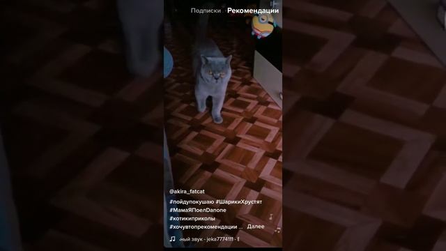 кот мем идёт кушать #shorts #мем #кот #майнкрафт