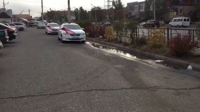 Кортеж TOYOTA CAMRY.Поездка в Володаровку