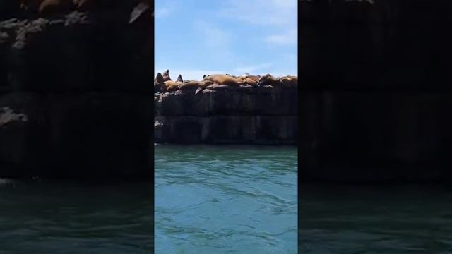 423e9736a07cadb8acfc4f992f699e61