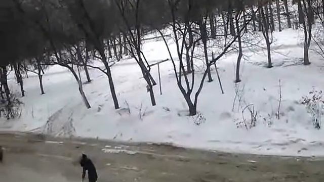 18020a6423b1874ad18bbb969d4337f9