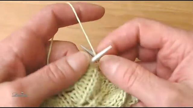 B5561a271a8d2d833cba538c2562c475