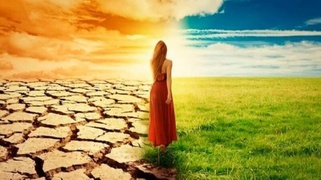 Педагогическое сотрудничество в воспитании