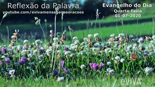 EVANGELHO DO DIA 01/07/2020 Narrado E Comentado - LITURGIA DIÁRIA - HOMILIA DIARIA HOJE