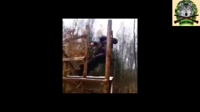 Подборка приколов на охоте!