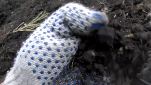 8e56cb12bfe084df6e934bb1800952e6