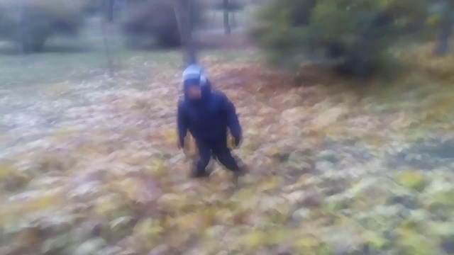 Играем с листьями. Пашка и огромная куча листьев.