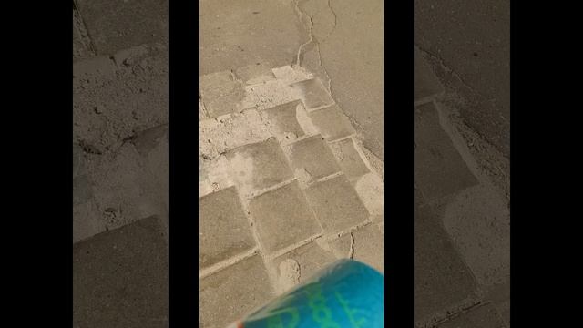 Elena Kolyadina Ревизорро фитнес клубов