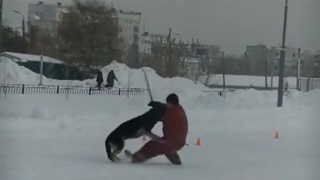 Выступление ВЕО Жардин