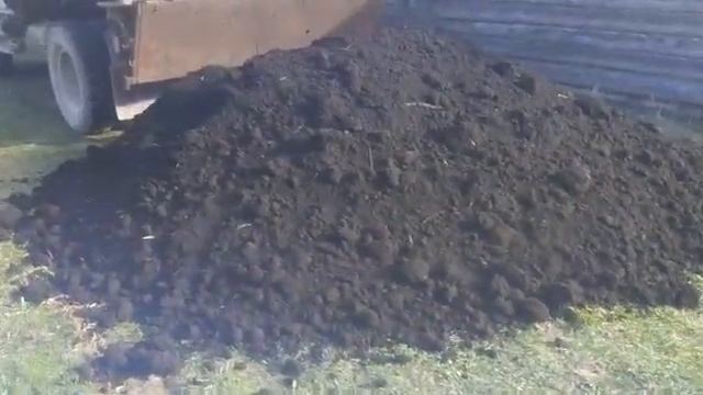 Чернозем земля плодородная в Великом Новгороде