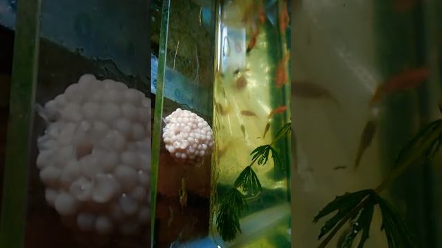 B85fda43b3f8c5e41bb82a65ed30e0de