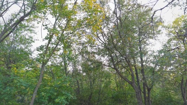 Каньон Зайцевка Ростовская область