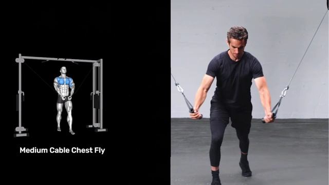 The 6 Best Exercises To Enlarge The Chest Muscle / Used By Ronnie Coleman