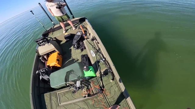 SOLO Spearing GIANT STINGRAYS Catch & Cook! (200 Stingrays)